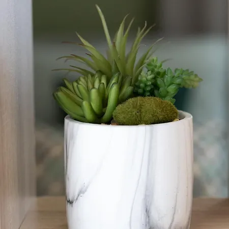 Domus Magnolia In The Center *