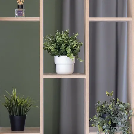 Domus Magnolia In The Center