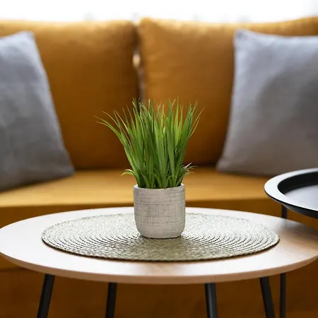 Domus Magnolia In The Center 公寓