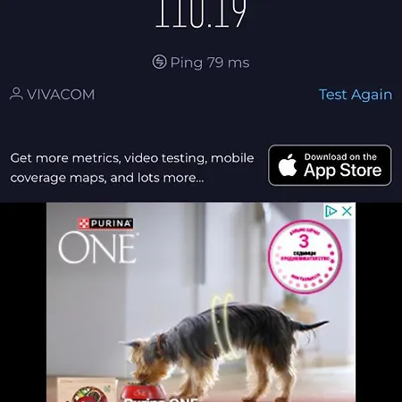 公寓 Domus Magnolia In The Center 普罗夫迪夫